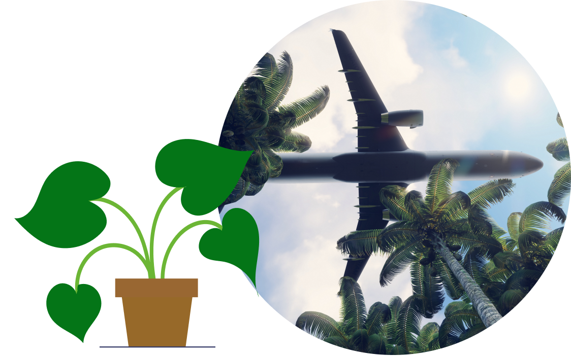 Stay green