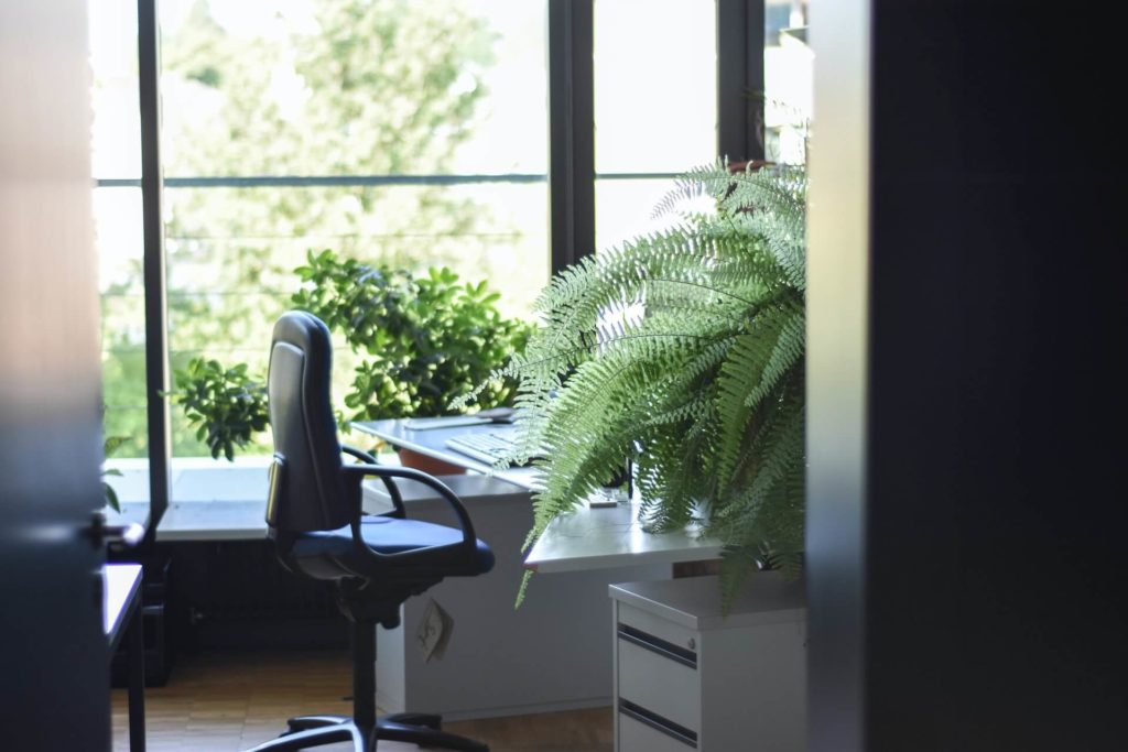 green office space