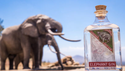 Running a company on sustainable values with Elephant Gin