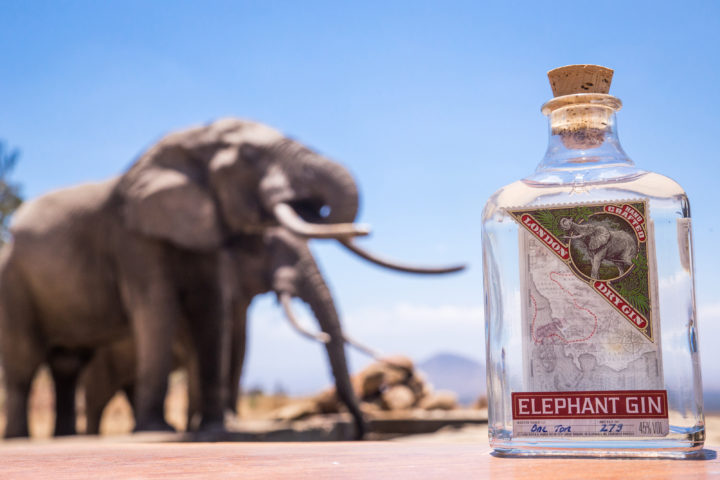 Running a company on sustainable values with Elephant Gin 