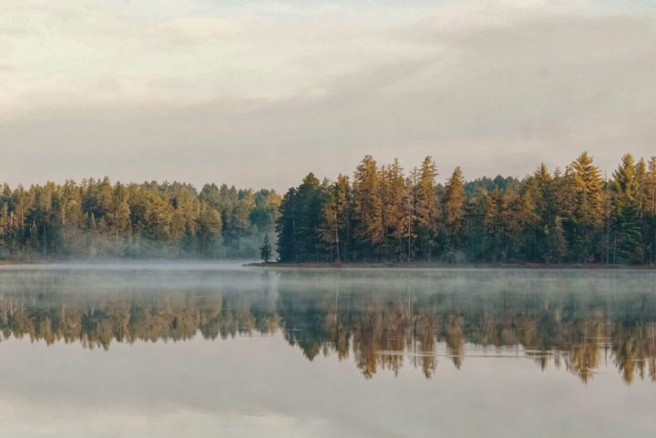 4 of the best corporate travel companies in Michigan