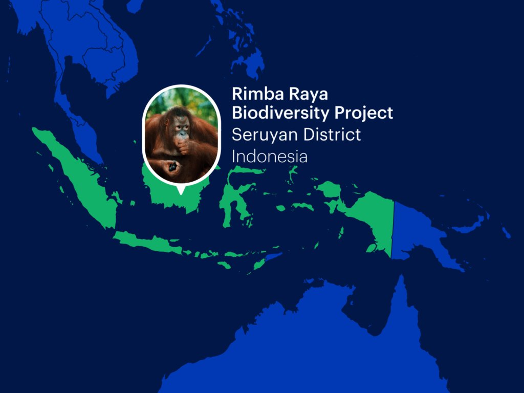 rimba raya biodiversidad