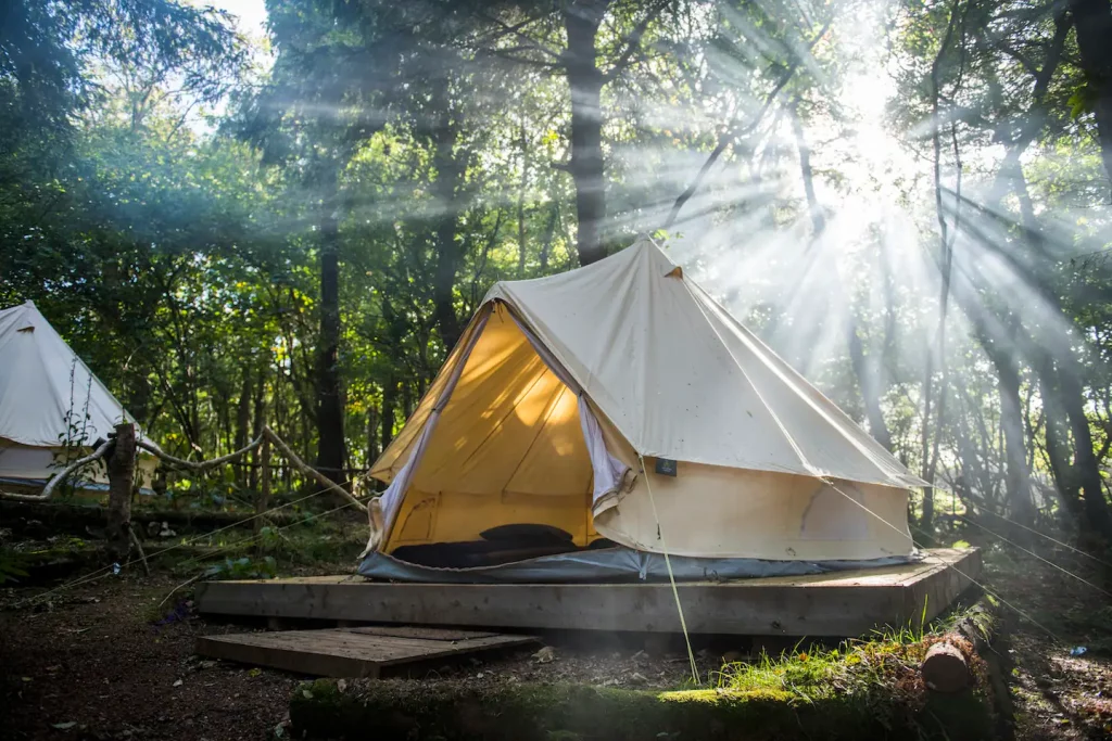 Newquay'deki vahşi kamp.  Airbnb.