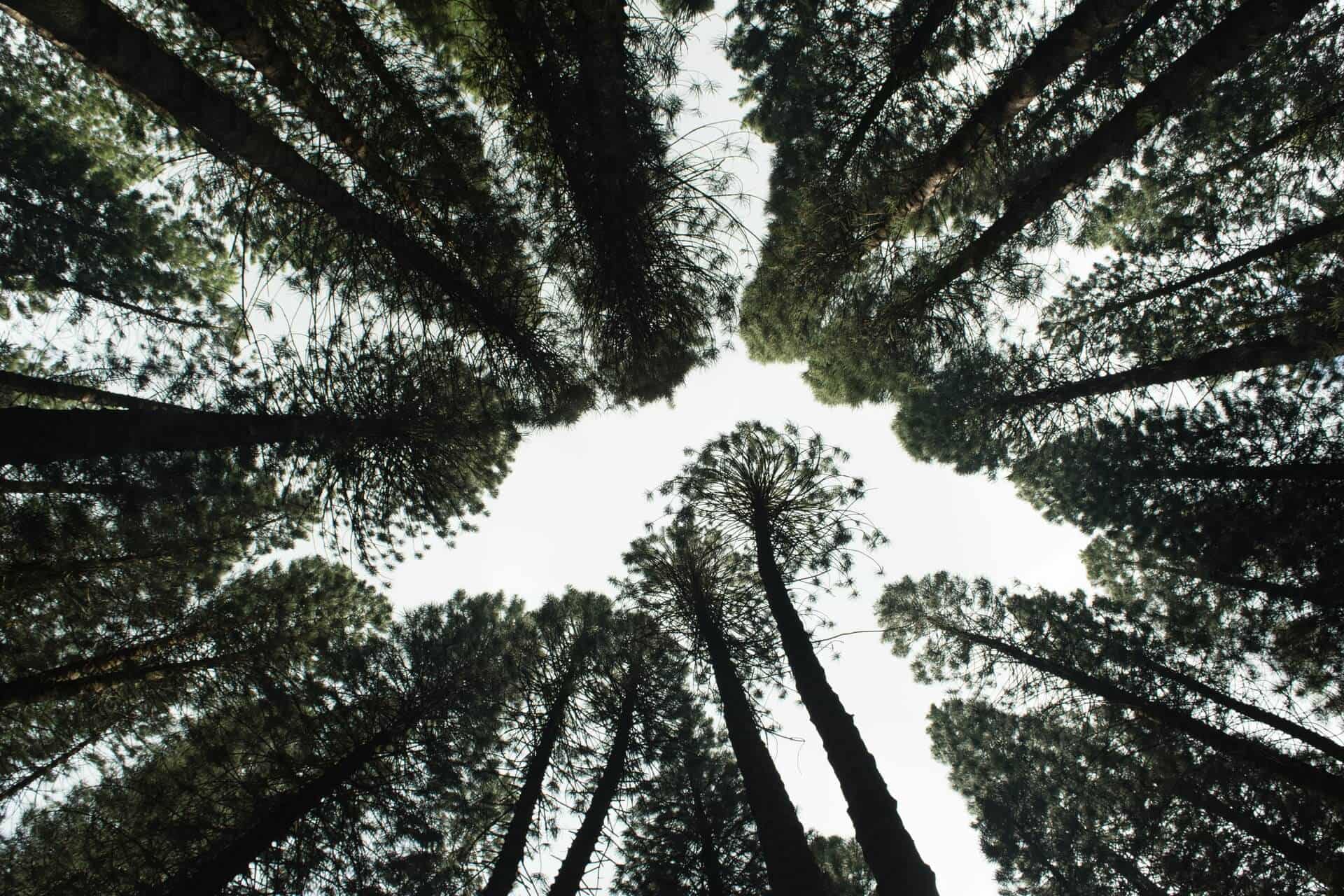 Biodiversity & business: why it matters