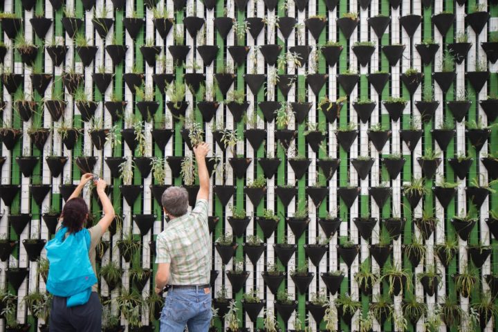 6 reasons small businesses need to adopt sustainable solutions