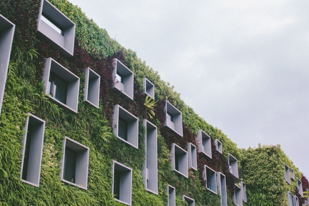 Building with plants