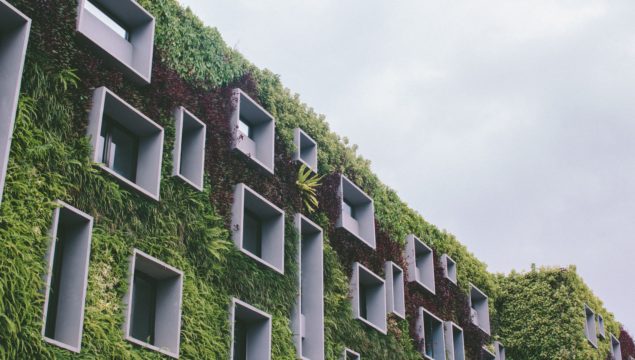 10 Möglichkeiten, wie Hotels ihre Auswirkungen auf die Umwelt reduzieren können