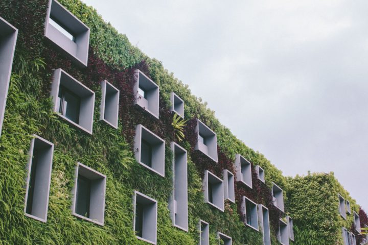10 ways hotels can reduce their impact on the environment 