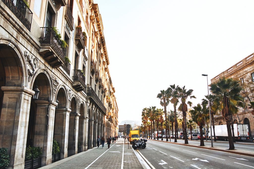 Barcelona street with palm trees