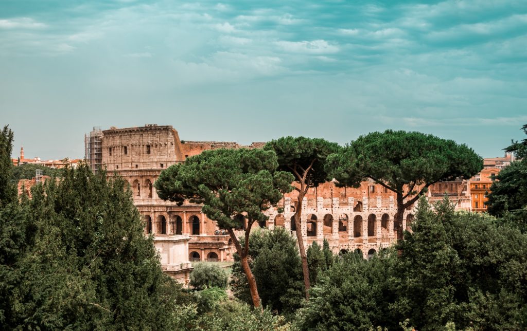 Rome colosseum trees