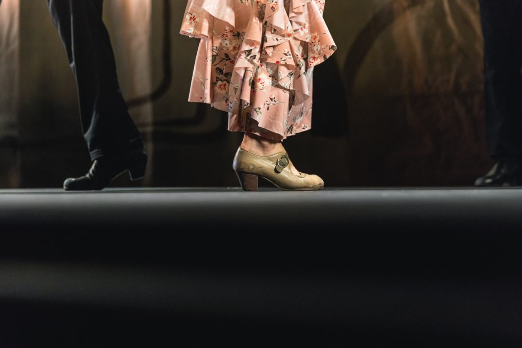 Flamenco dancing shoes