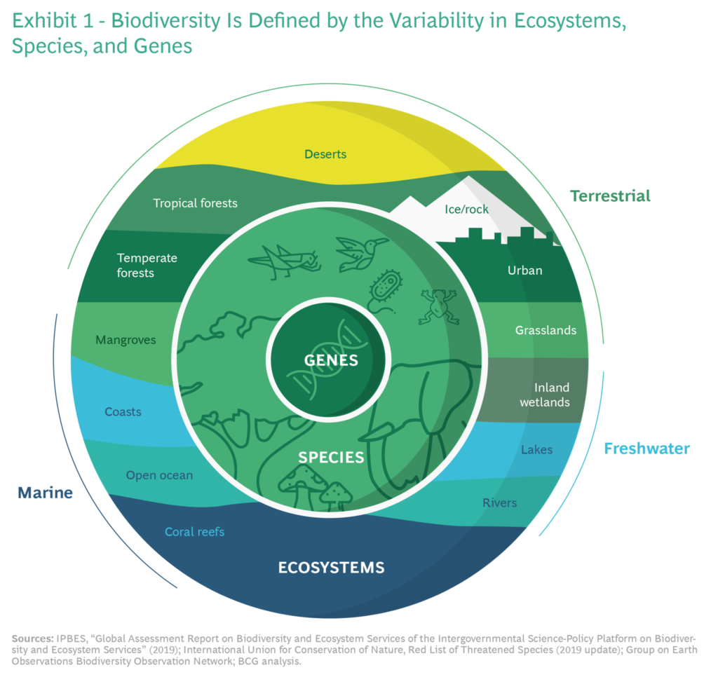Biodiversity & business: why it matters