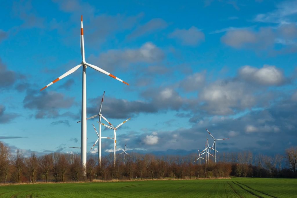 wind turbines field