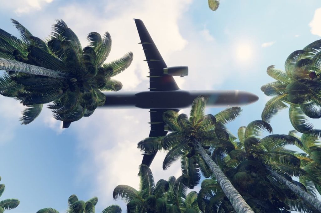 The plane flying over the forest