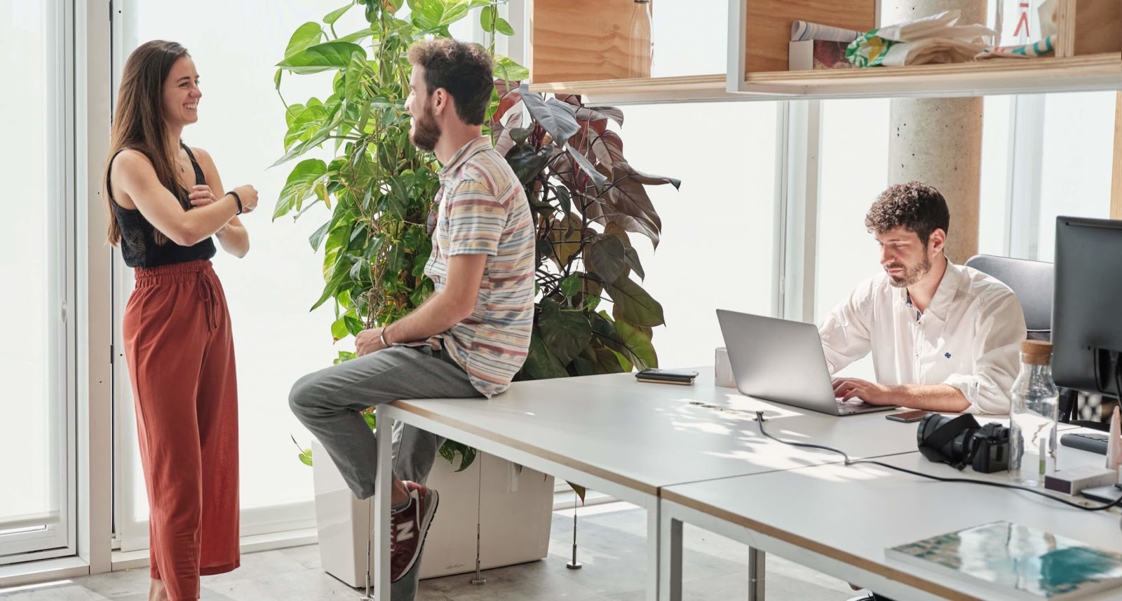 Startup office vibe