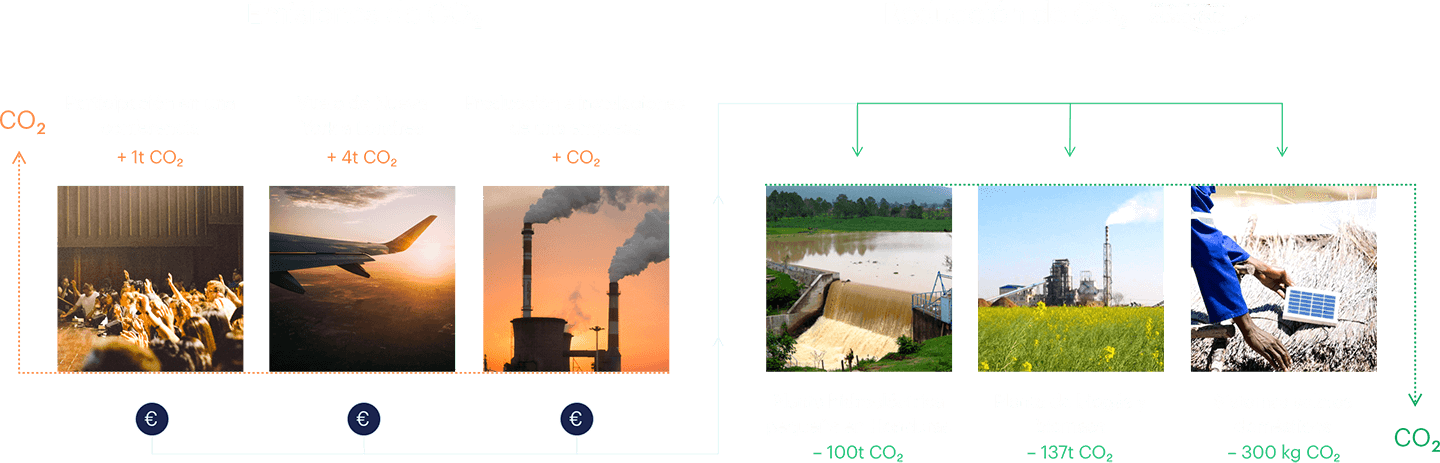 Infographic of carbon offsetting