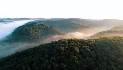 CO2-Ausgleich: Was ist das und wie funktioniert es?