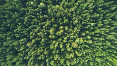 Comment rendre les voyages d’affaires plus écologiques en 2023