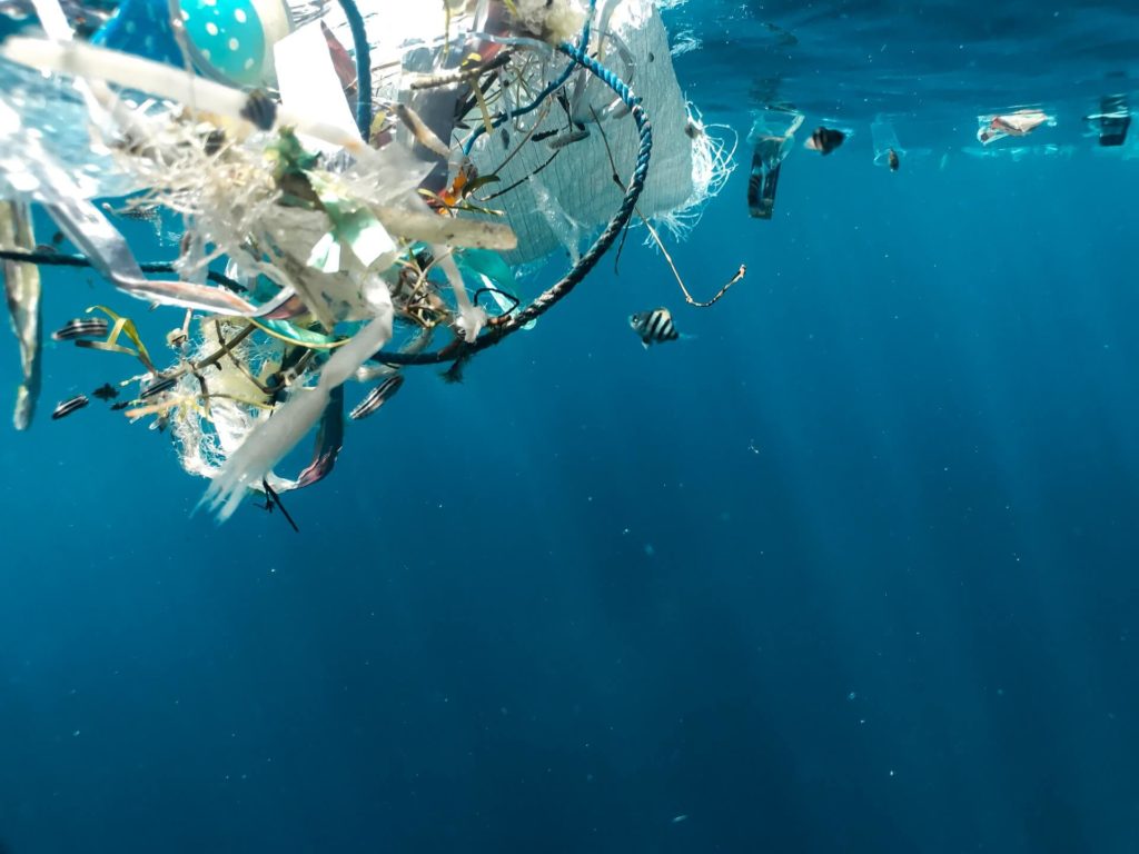plastic in the ocean and a little fish