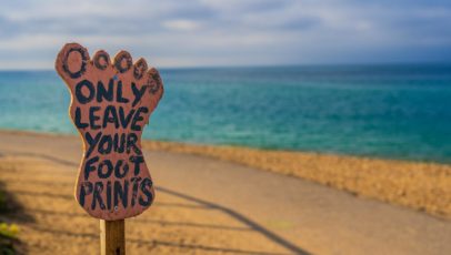 8 companies with inspiring carbon reduction initiatives