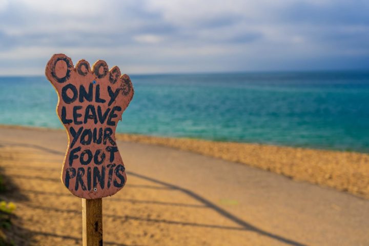 8 companies with inspiring carbon reduction initiatives