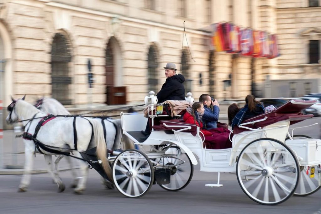 Carriage ride in Vienna