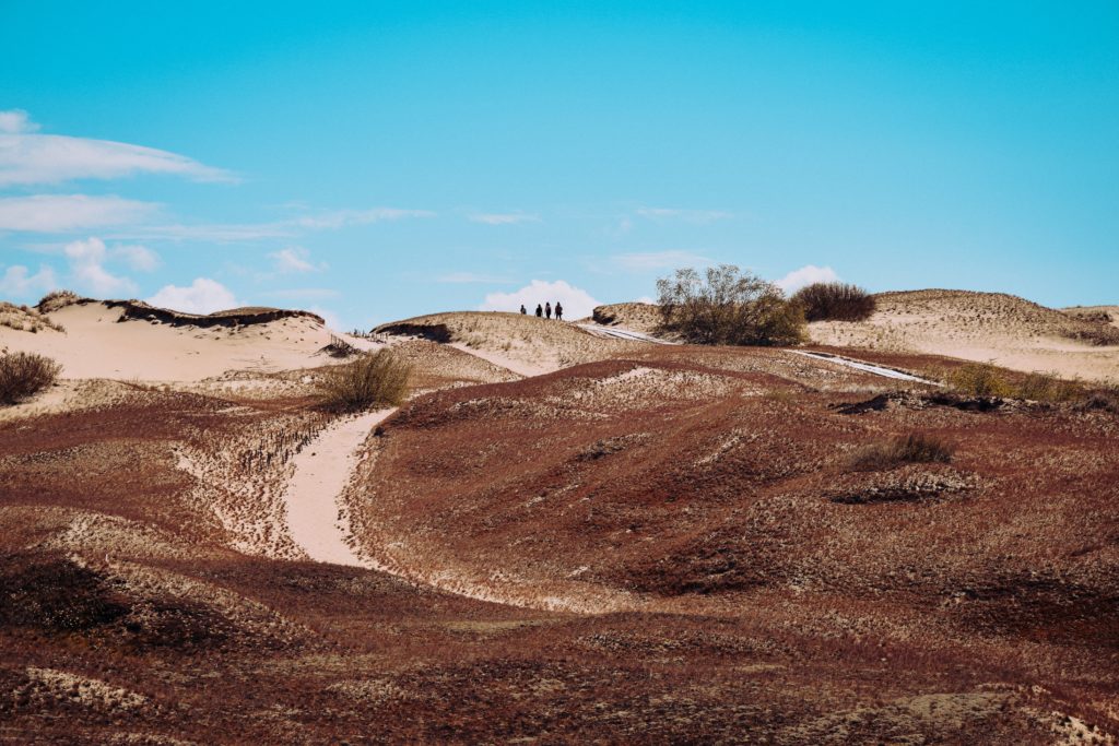 Dunes in Lithuania