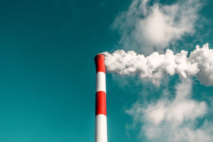 Carbon markets: who sets the price for carbon offsetting?