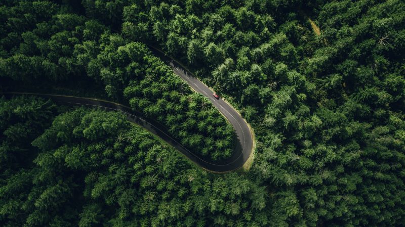 Wald mit Straße von oben. CO2-Software hilft, Emissionen zu kompensieren und die Natur zu schützen.
