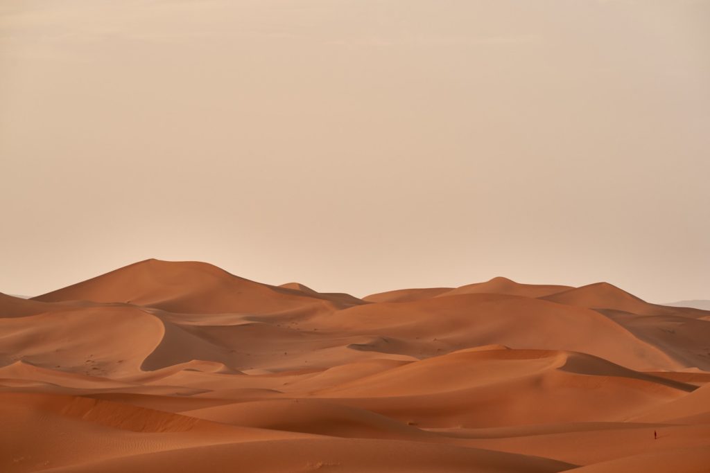 dune style desert